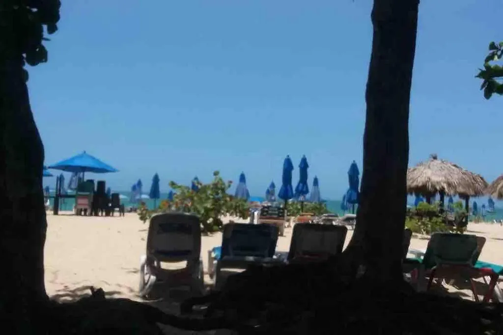 Apartment It'S Just Perfect Here, Steps Away From The Beach! Puerto Plata